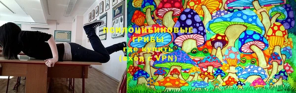 ПСИЛОЦИБИНОВЫЕ ГРИБЫ Верхнеуральск